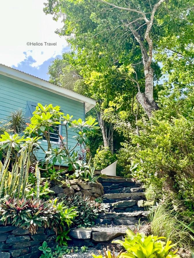 Le Surf Lodge, Chambre Avec Vue Mer Dans Un Ecrin De Verdure Deshaies Exterior photo
