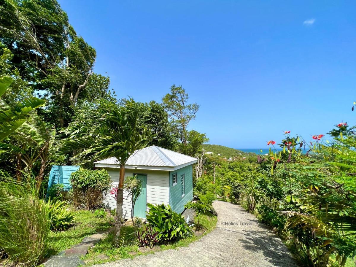 Le Surf Lodge, Chambre Avec Vue Mer Dans Un Ecrin De Verdure Deshaies Exterior photo