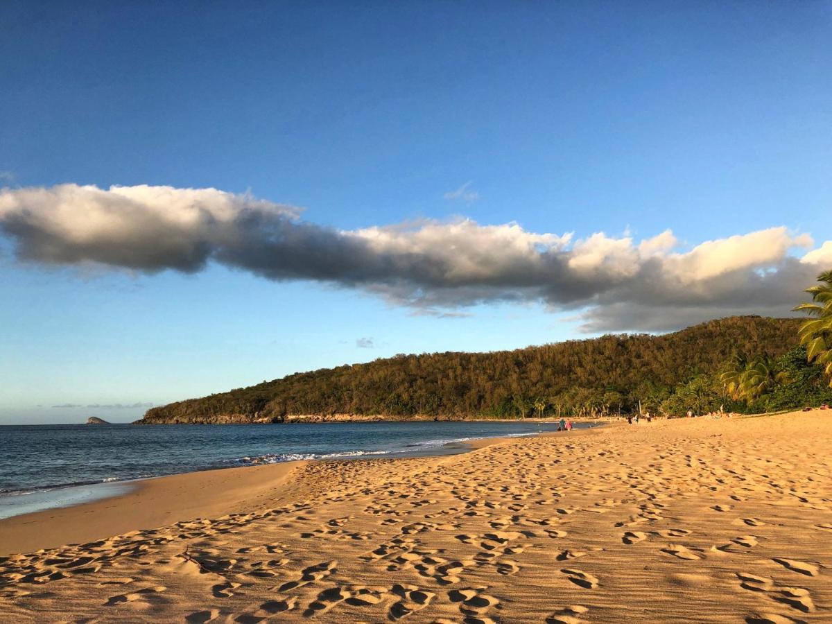 Le Surf Lodge, Chambre Avec Vue Mer Dans Un Ecrin De Verdure Deshaies Exterior photo